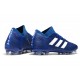adidas Nemeziz 18.1 FG Coppa del Mondo Scarpe -