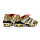 adidas Predator Accelerator Electricity FG Argento Oro Rosso