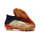 Scarpe da Calcio adidas Predator 19.1 FG - Oro Argento Rosso