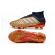 Scarpe da Calcio adidas Predator 19.1 FG - Oro Argento Rosso